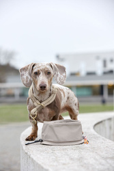 PALOPA - Tura foldable travel bowl for dogs - Taupe